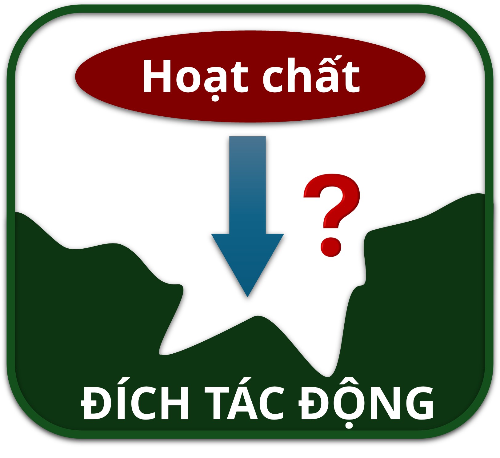 Course Image Các pp. đánh giá tương tác giữa hoạt chất và đích tác động (NCS. 2023.2024)