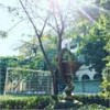 Hình của Hồ Lê Trúc Linh