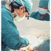 Hình của Tuan Ly Huu
