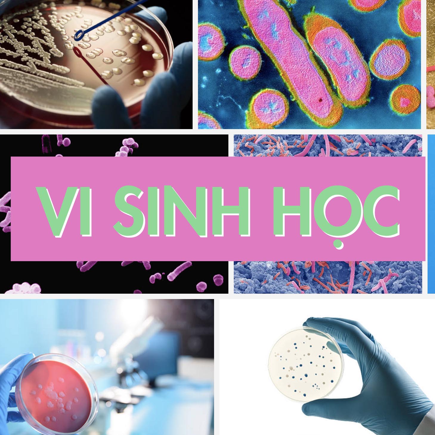 Course Image VI SINH HỌC