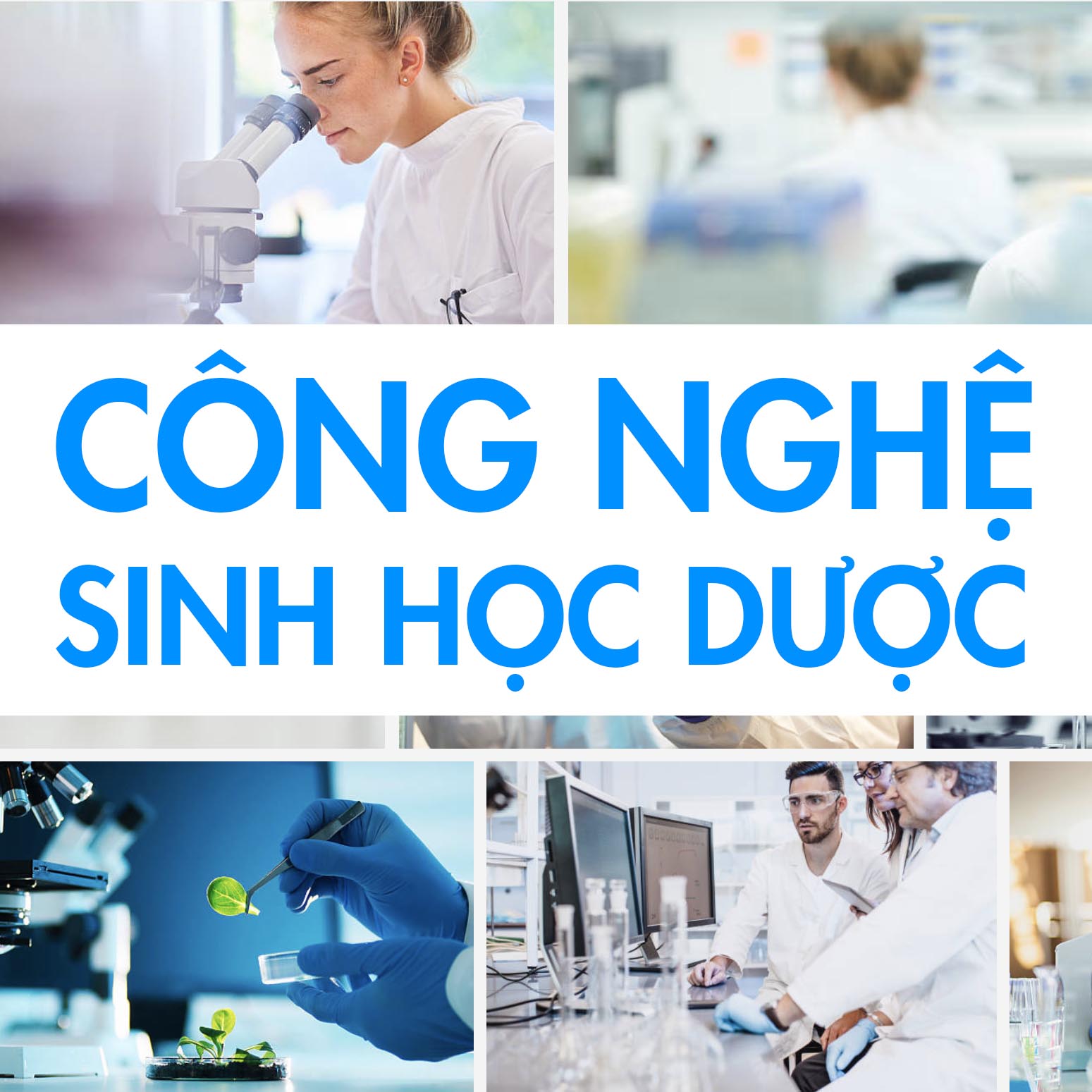 Course Image CÔNG NGHỆ SINH HỌC DƯỢC