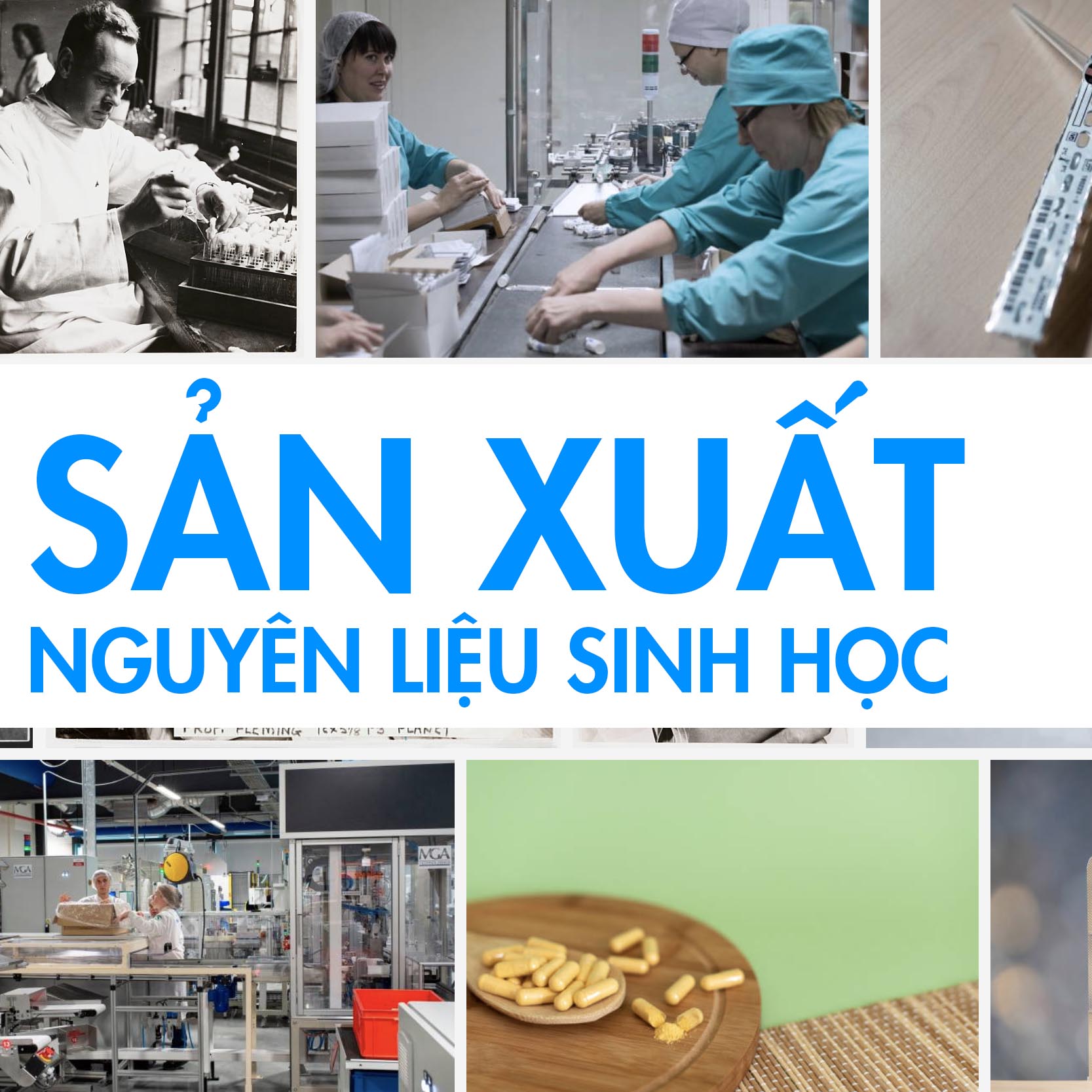 Course Image SẢN XUẤT NGUYÊN LIỆU DƯỢC BẰNG CÔNG NGHỆ SINH HỌC