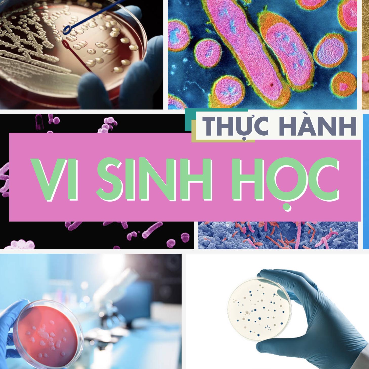 Course Image THỰC HÀNH VI SINH 