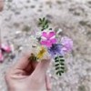 Hình của Nguyễn Thị Ngọc Chi