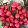 Hình của Nguyễn Thị Mỹ Hiền