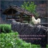 Hình của Hoang Thy Nhac Vu Dai hoc Y Duoc